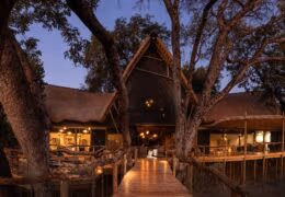 Wilderness Little Tubu