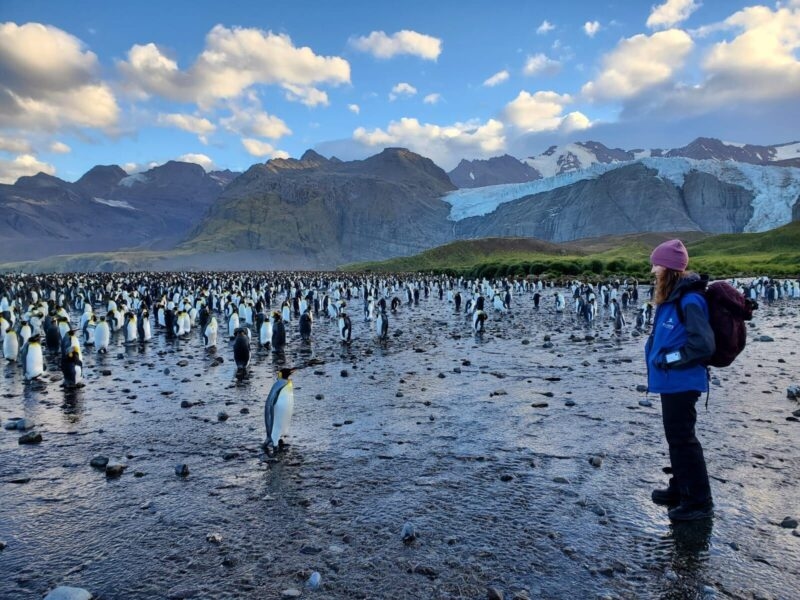 woman looking at penguins