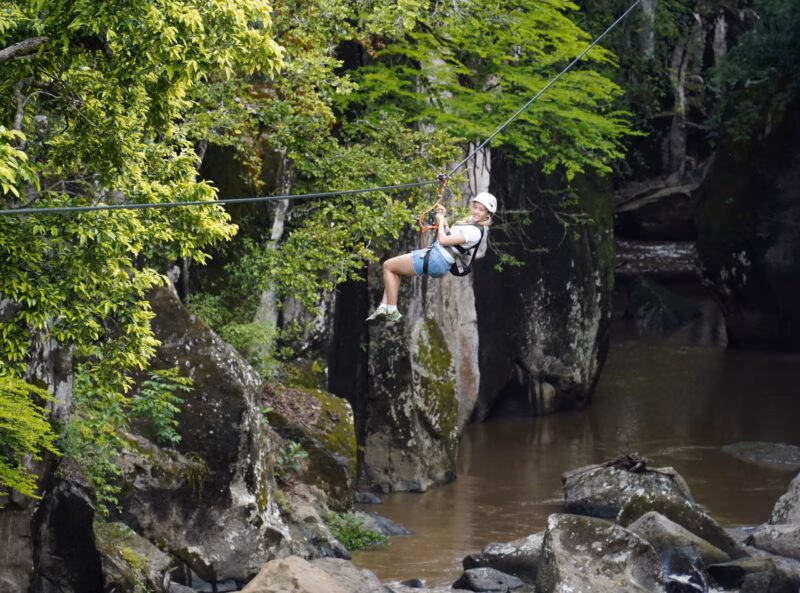 zipline in Jungle over water