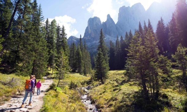 Hikers walking on a trail through a pine forest toward high rocky mountain peaks under a blue sky.