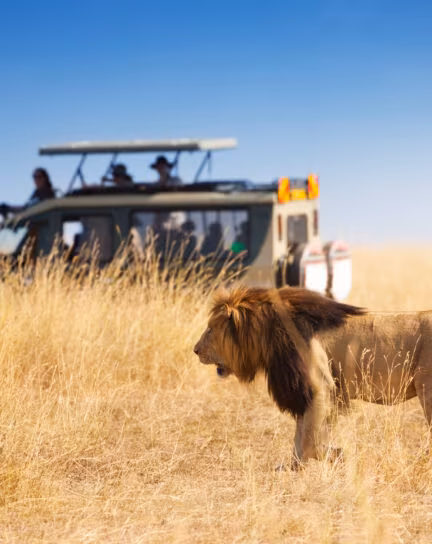 The Definitive Guide to the Best Safari Lodges in Kenya