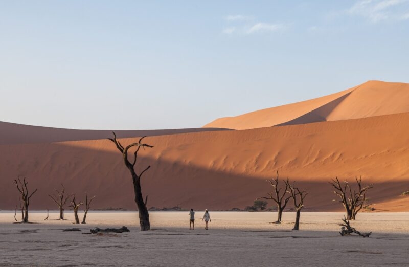 Silhouette of dead trees on a flat white plain with two people walking toward large orange dunes in the background.