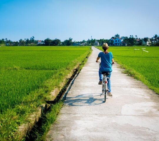 Bicycling in the rice-fields of Hoi An, Vietnam