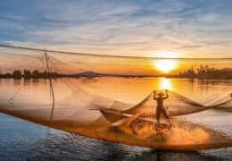 Vietnam from North to South