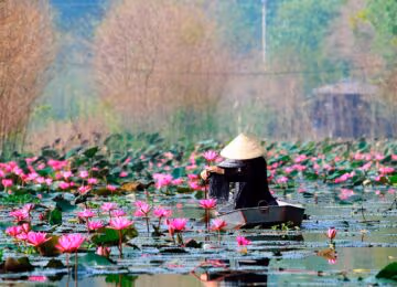 Hanoi thumbnail
