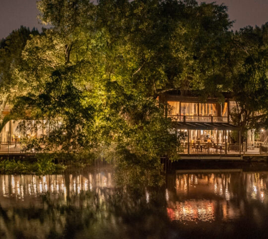 Exterior night shot of hotel by a river with large trees