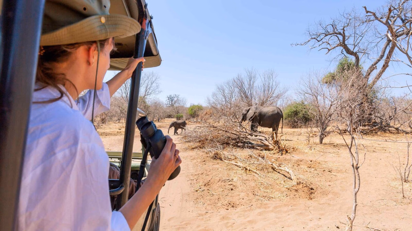 Watching an elephant really close out of a Jeep at a safari in Namibia.