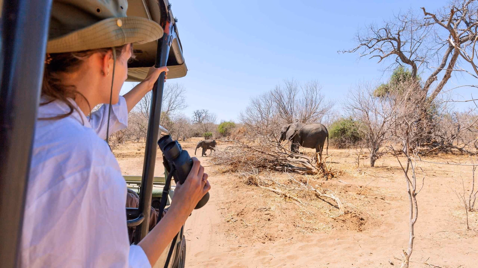 Watching an elephant really close out of a Jeep at a safari in Namibia.