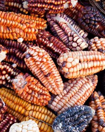 A Guide to Peruvian Cuisine