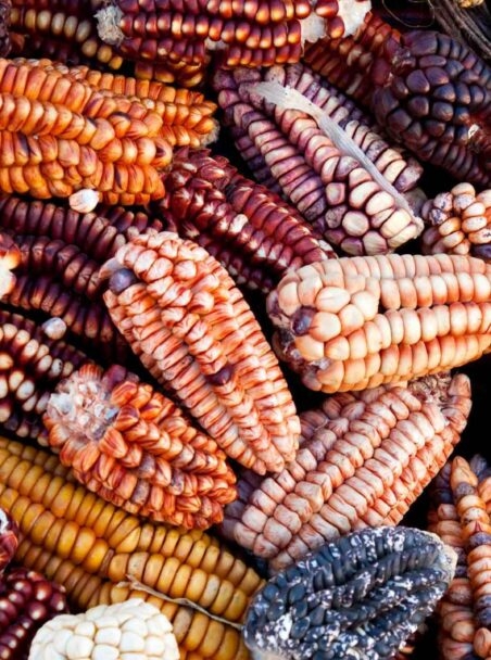 A Guide to Peruvian Cuisine