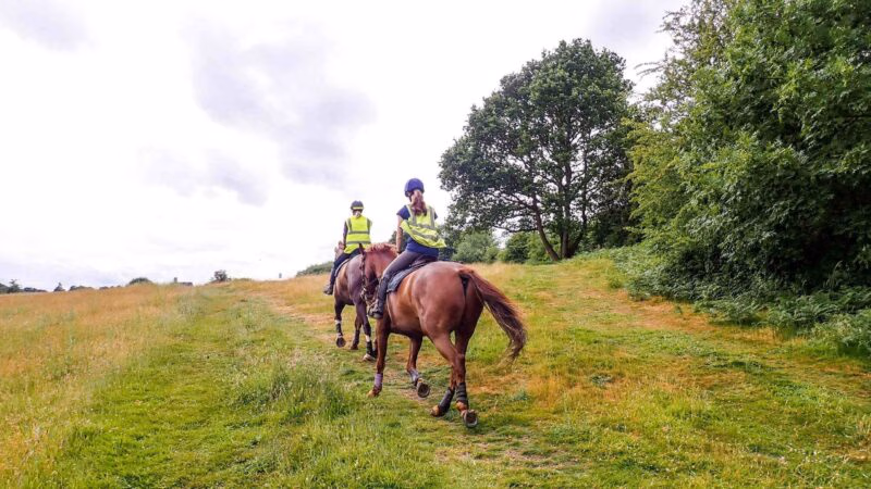 Two women horse riding on Chorleywood Common, Hertfordshire