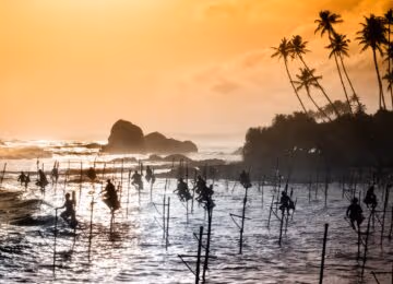 Galle thumbnail