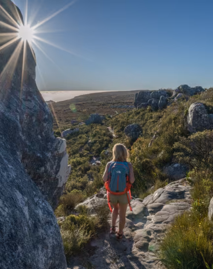 The 8 Best Hikes in South Africa