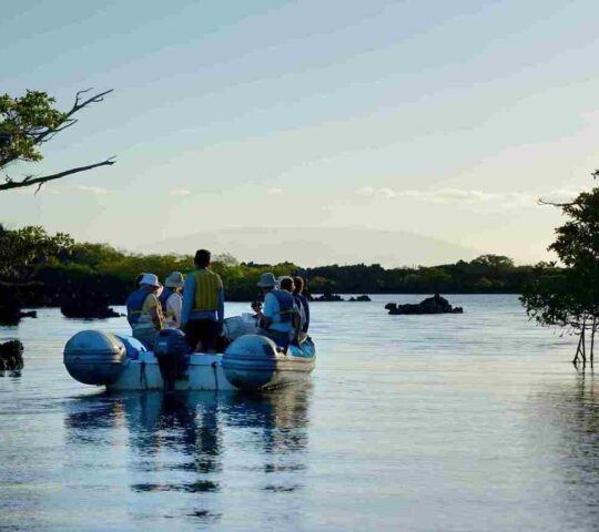 Elizabeth Bay, Isabela Island, Galapagos Islands, Ecuador