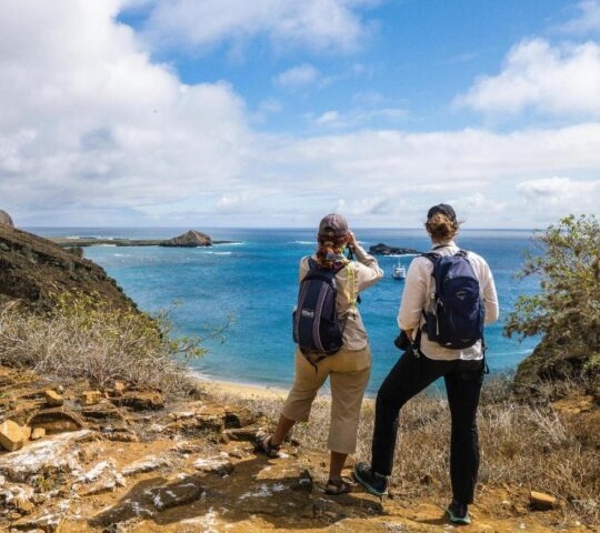 Two people standing on a rocky hillside looking over the sea