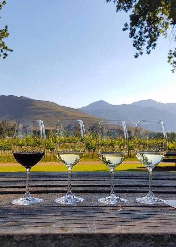 Four glasses of wine—one red and three white—sit on a wooden table overlooking a sunny vineyard and mountains.