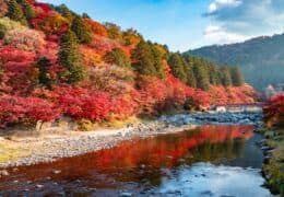 A Luxury Autumn Leaves Tour of Japan