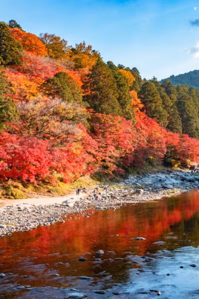 Luxury Autumn Leaves Tour of Japan