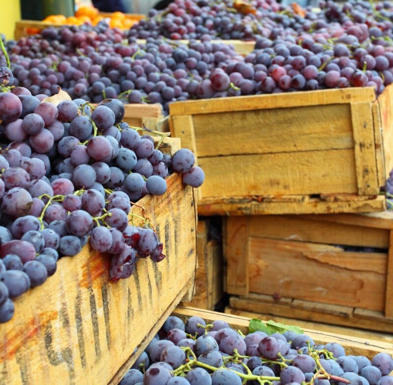 Red grapes at the local market in Valparaiso, Chile.
