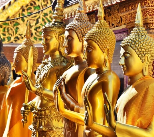Multiple polished golden Buddha statues stand in a row with traditional temple architecture in the background.