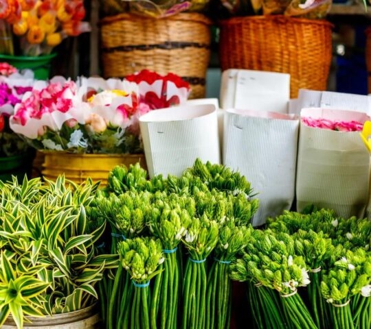 Bouquets of flowers and plants in a flower shop in a Colombian market