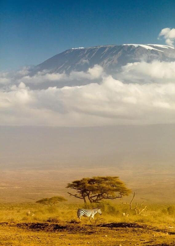 View of Mt Kilimanjaro in the afternoon