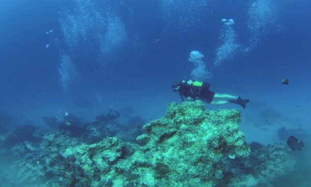 Go snorkelling and scuba diving