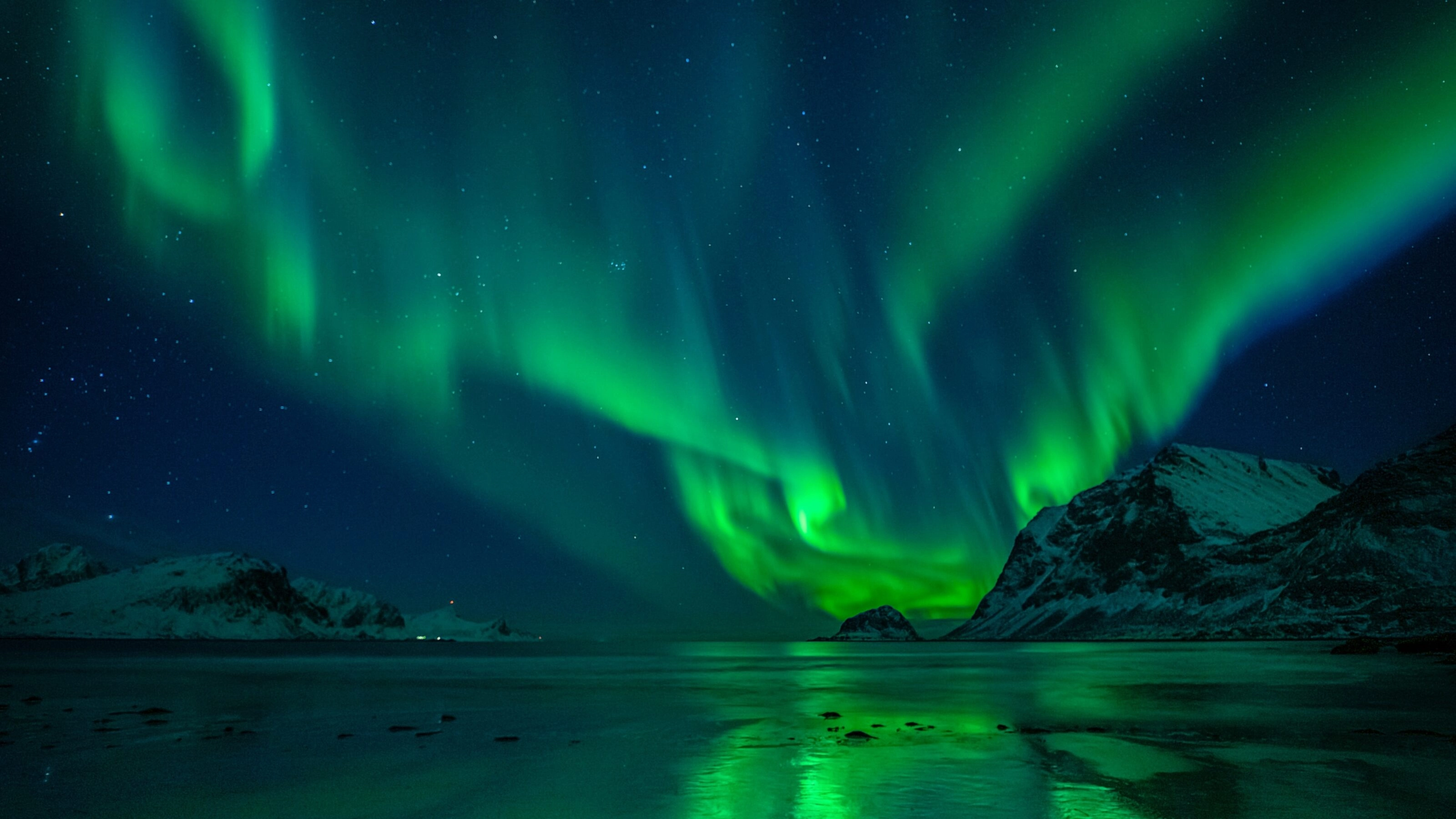 wonderful night sky with aurora borealis over a beach with reflections, lofoten, norway