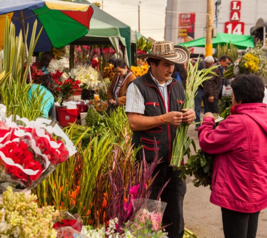 Flowers at Paloquemao farmers flower market in Bogota, Colombia, South America.