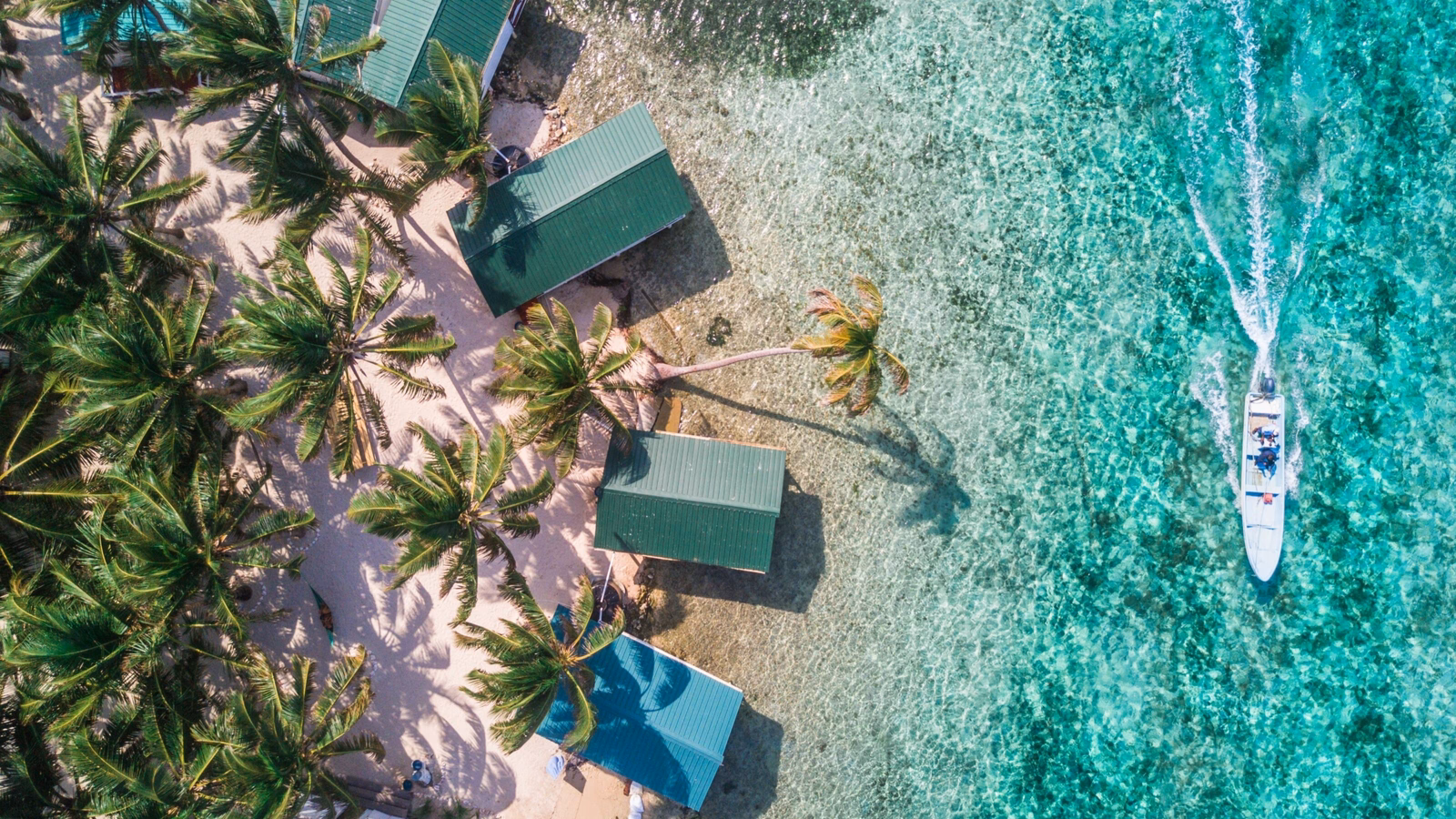 Aerial drone view of Tobacco Caye small Caribbean island with palm trees and bungalows in the Belize Barrier Reef
