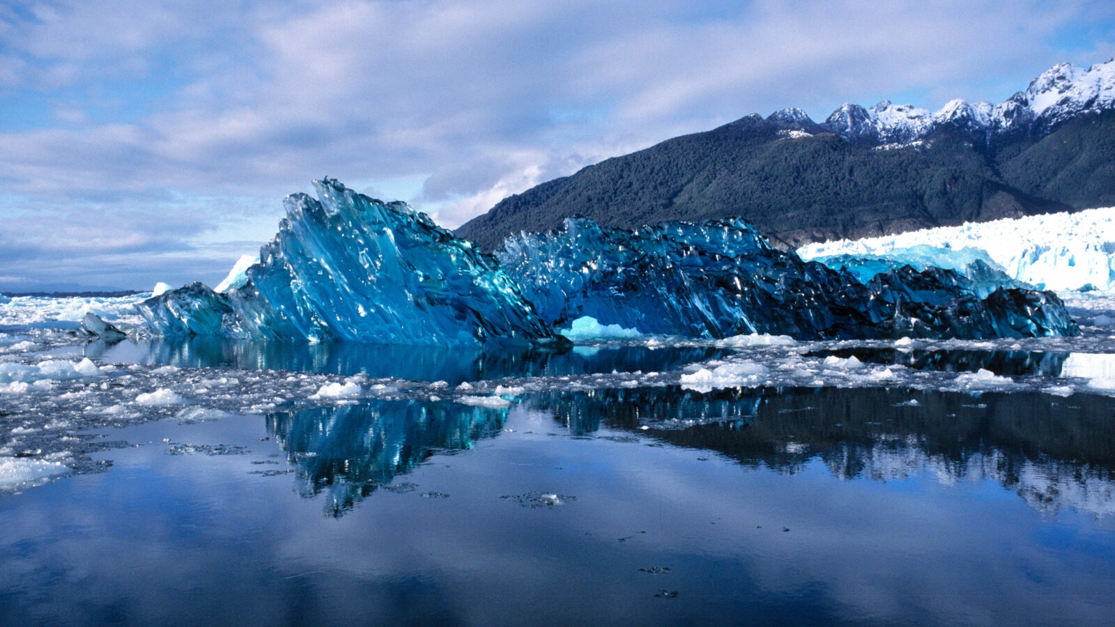 The underside of a newly-calved iceberg looks like blue, scalloped glass in San Rafael Lagoon NP, Chile.