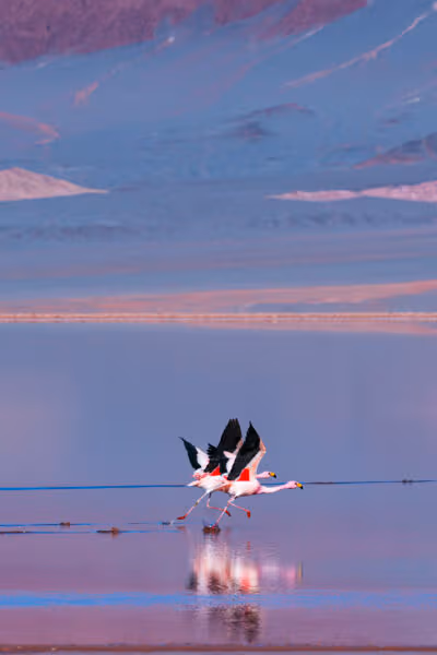 Adventure Across Northwest Argentina
