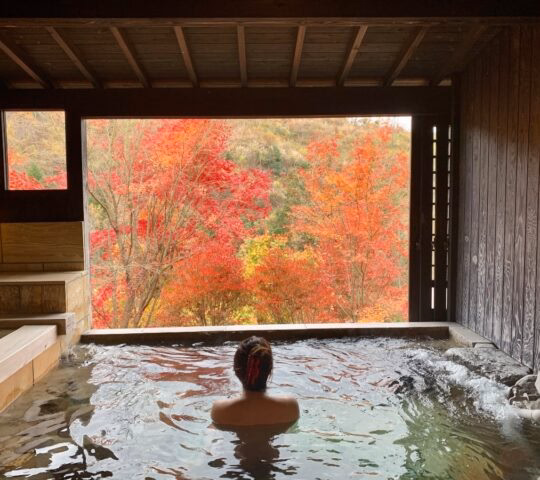 Person in a hot spring pool viewing bright red autumn leaves through a large rectangular window.