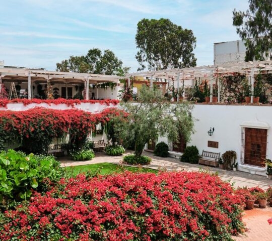 Courtyard at the Larco Museum. Lima, Peru.