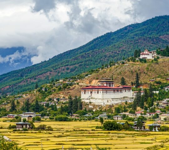 A scenic view of a Bhutanese dzong with rice fields in the foreground and mountains behind under a cloudy sky.