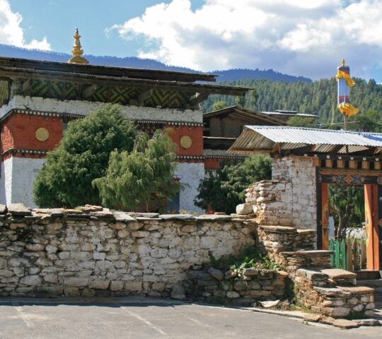 Traditional Bhutanese building with ornate patterns and a stone fence against forested hills.