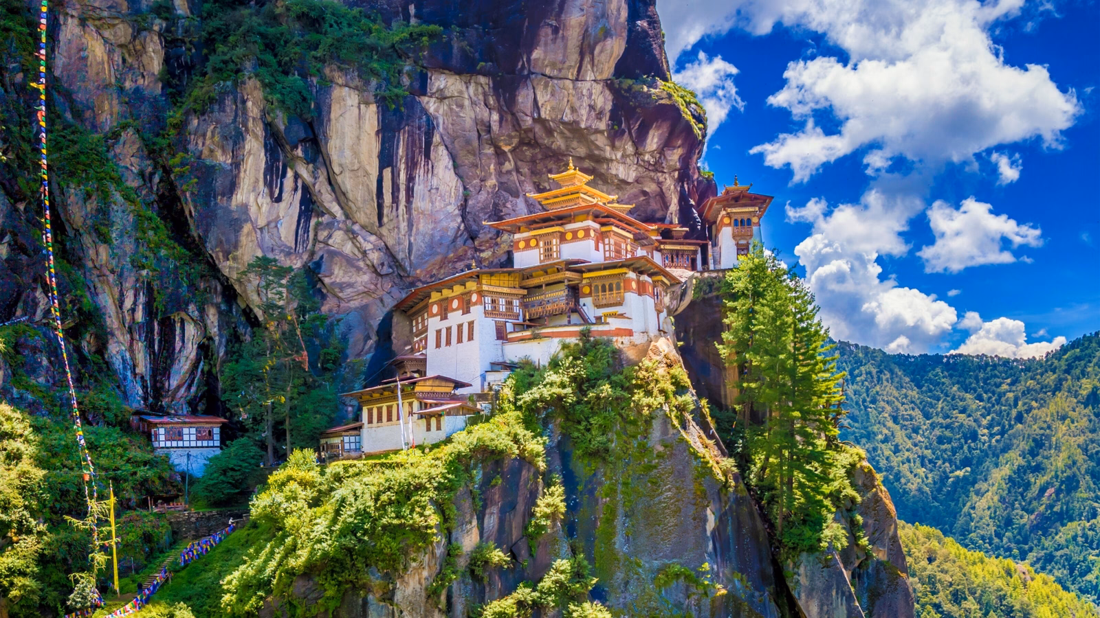 Picnic with glasses of white wine on a vineyard. Two glasses of white wine, cheese, bread, grape, berries, melon.