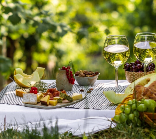 Picnic with glasses of white wine on a vineyard. Two glasses of white wine, cheese, bread, grape, berries, melon.