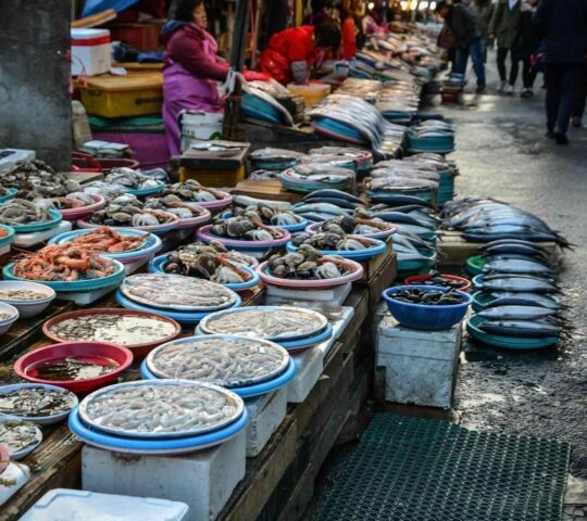 Fresh seafood market background, Busan, South Korea