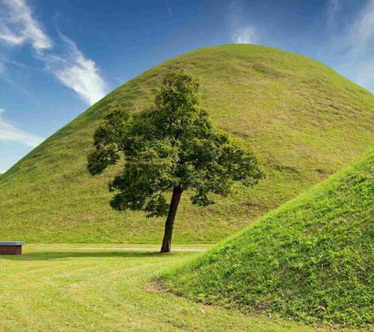 Tumuli Park (Daereungwon Tomb Complex) on a sunny day in 2020 October