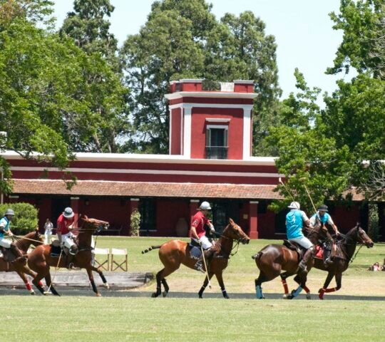 A polo match in front of La Bamba estancia, Argentina