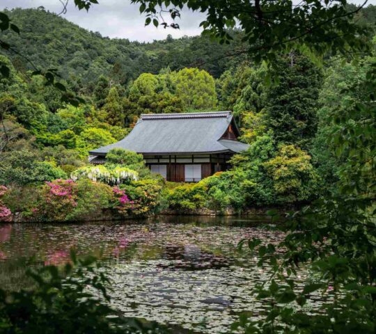 Traditional Japanese building with a curved roof behind a pond with lily pads and green trees.