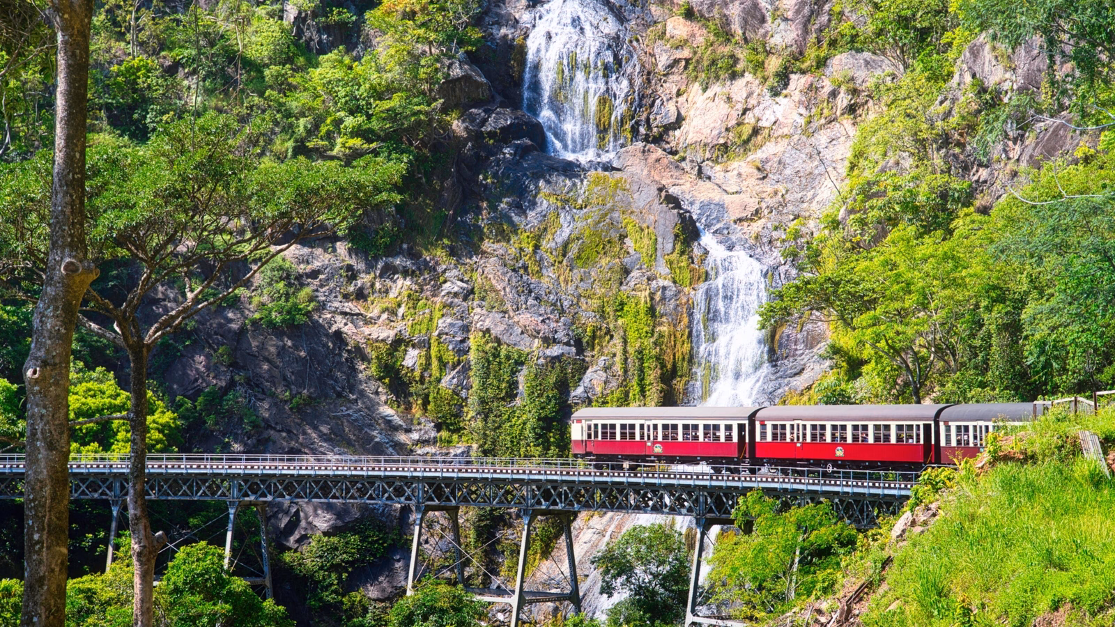 Kuranda scenic railway winling up the tracks from Freshwater Station to Kuranda. The train passes by a long bridge and a nice