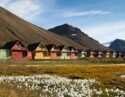 Colorful houses in a row against a hilly landscape with cotton grass in the foreground.