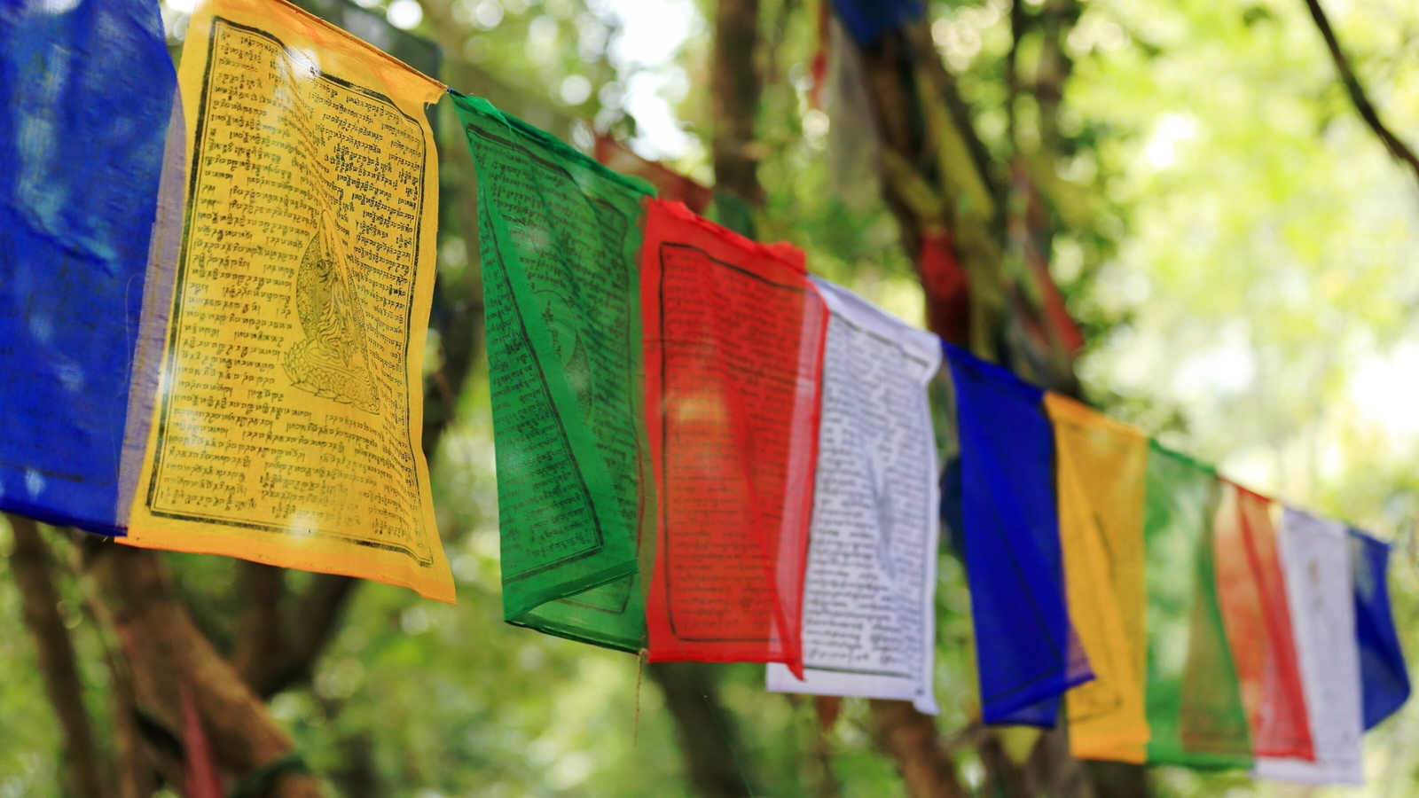 Colorful Tibetan prayer flags with script, hanging in a sunlit forest.