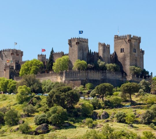 The medieval fortress at Almodovar de Rio