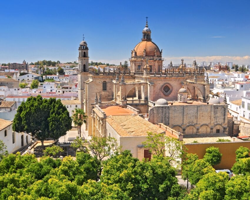 A panoramic view of a historic cathedral with domes amid a sunny cityscape surrounded by green trees.