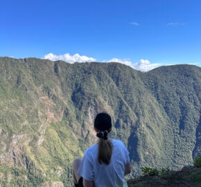Person sitting on a cliff overlooking a deep green valley with blue sky above.