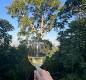A hand holding a glass of white wine against a backdrop of lush green trees under a clear blue sky.
