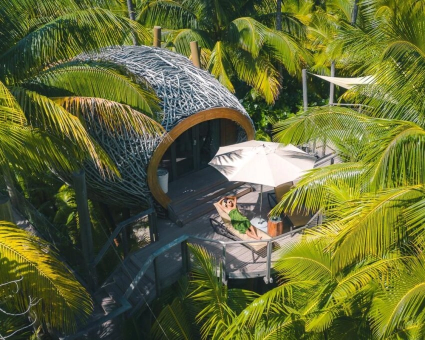 Aerial view of a unique wooden pod structure surrounded by lush palms with a person lounging under an umbrella.